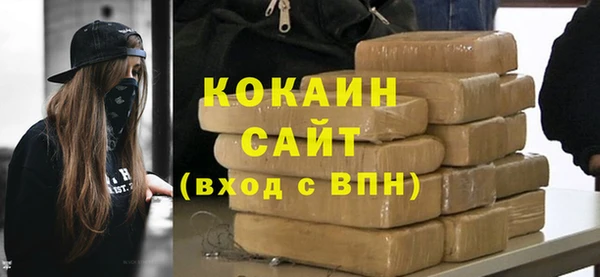 ПСИЛОЦИБИНОВЫЕ ГРИБЫ Коряжма