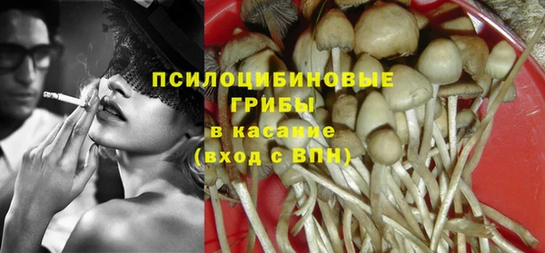 ПСИЛОЦИБИНОВЫЕ ГРИБЫ Коряжма