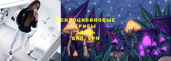 спайс Алзамай