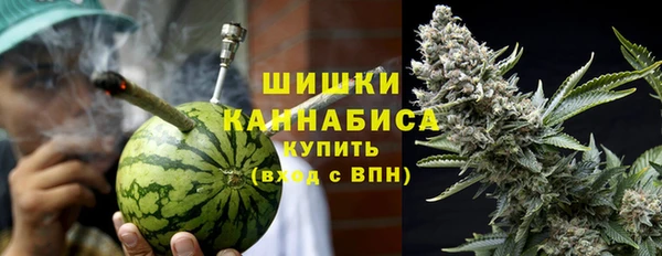 прущие грибы Кодинск