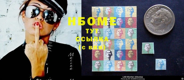 прущие грибы Кодинск