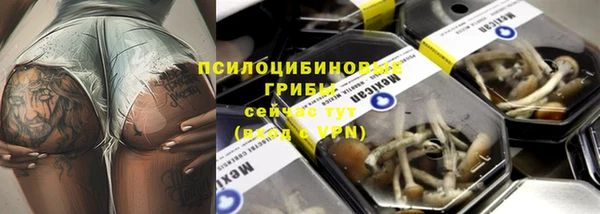 прущие грибы Кодинск