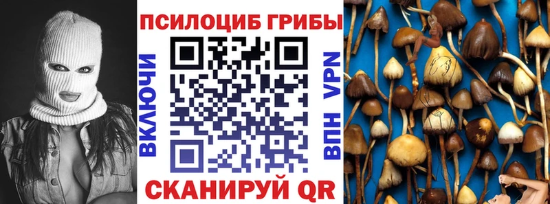 магазин    Элиста  Галлюциногенные грибы мухоморы 